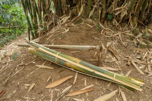 server Grazen zak Verwijderen van bamboe » U kunt rekenen op deze kosten